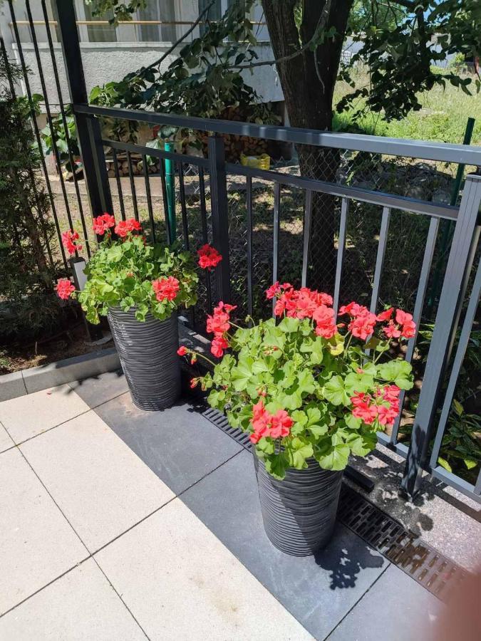 Apartament Kali Achtopol Exteriör bild